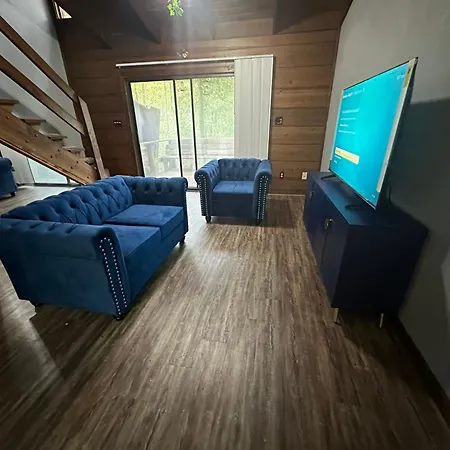 Convenient, Cozy, Cheap, Comfortable